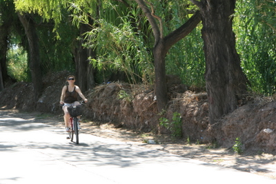 Argentine Mendoza Velo