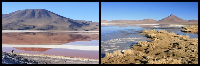 Bolivie Salar Uyuni Lagune Laguna Colorada Ekla