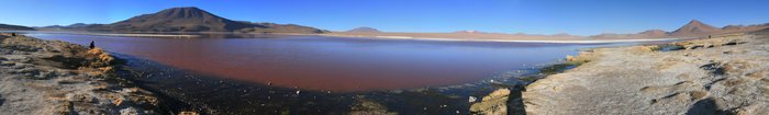 Bolivie Salar Uyuni Lagune Colorada Ekla